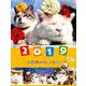 かご猫卓上カレンダー 2019 [カレンダー]