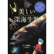 美しい深海生物 [単行本]