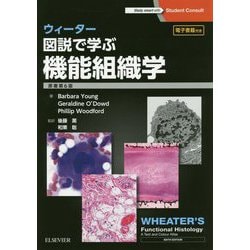 ウィーター 図説で学ぶ機能組織学 原著第6版 / Anatomy 今日も