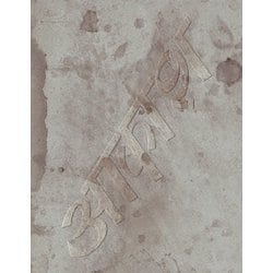 椎名林檎／椎名林檎と彼奴等の居る真空地帯 [Blu-ray Disc]