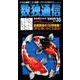 数独通信 Vol.35（"18年秋号） [ムックその他]
