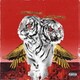 ポリフィア／NEW LEVELS NEW DEVILS