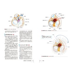 ヨドバシ.com - 弁膜症の手術(心臓血管外科手術エクセレンス〈2