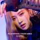 BLACKPINK／BLACKPINK IN YOUR AREA