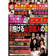 実話ナックルズGOLD 4 [ムック・その他]