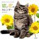 猫と花のカレンダー 2019 [カレンダー]