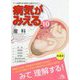 産科 第4版 (病気がみえる〈10〉) [単行本]