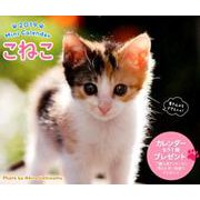 こねこミニカレンダー 2019 [カレンダー]