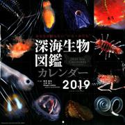 深海生物図鑑カレンダー 2019 [カレンダー]