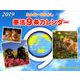 みんななかよし9条カレンダー 2019 [カレンダー]
