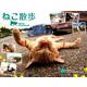 ねこ散歩カレンダー 2019 [カレンダー]