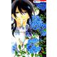 それでも世界は美しい 20 （花とゆめコミックス） [コミック]