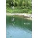 仁淀川に染む [単行本]