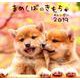 まめしばのきもちカレンダー 2019 [カレンダー]