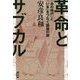 革命とサブカル―「あの時代」と「いま」をつなぐ議論の旅 [単行本]