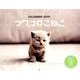 フワコロこねこCALENDAR 2019 [カレンダー]