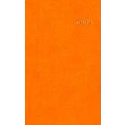 Family Planner Apricot orange [単行本]