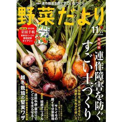 野菜だより 2018年 11月号 [雑誌]