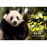 こっちむいてシャンシャン!カレンダー 2019 [カレンダー]