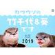 カワウソの竹千代&葵ですカレンダー 2019 [カレンダー]
