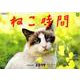 ねこ時間カレンダー 2019 [カレンダー]
