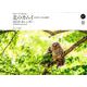 北のカムイ 命煌めく、野生動物カレンダー 2019 [カレンダー]
