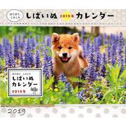 しばいぬCALENDAR 2019 [カレンダー]