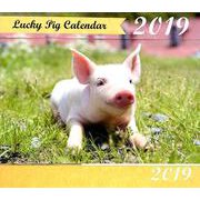 LUCKY PIG CALENDAR 2019 [カレンダー]