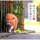 ぽっちゃり猫CALENDAR 2019 [カレンダー]