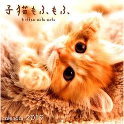 ヨドバシ Com 子猫もふもふカレンダー 19 単行本 通販 全品無料配達