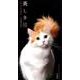 美しき猫カレンダー 2019 [カレンダー]