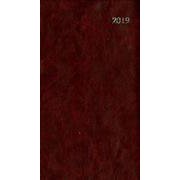 161 ビジネスプランミニ(茶)2019 [単行本]