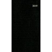 163 ビジネスプランミニ(黒)2019 [単行本]