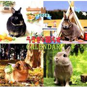 うさぎと暮らすCALENDAR 2019 [カレンダー]