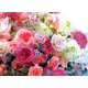 花カレンダー 2019 [カレンダー]