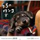 うちのワンコ。壁掛カレンダー 2019 [カレンダー]