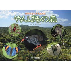 やんばるの森-世界が注目する南の島 （少年写真絵本） [絵本]