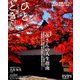 ひととき 2018年 11月号 [雑誌]