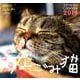 なごみ猫週めくりカレンダー 2019 [カレンダー]