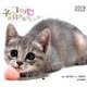 ネコの心が分かるカレンダー 2019 [カレンダー]