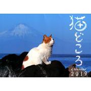 猫どころカレンダー 2019 [カレンダー]