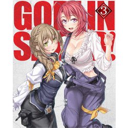 ゴブリンスレイヤー 3 [DVD]