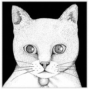 ALL YOU NEED IS CAT ～猫こそはすべて