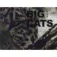 BIG CATS [単行本]