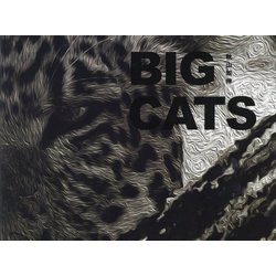 BIG CATS [単行本]