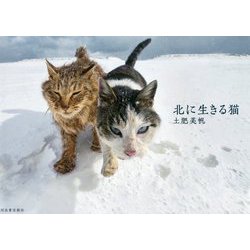 北に生きる猫 [単行本]