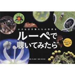 小さな生き物たちの世界を ルーペで覗いてみたら [図鑑]