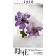 野の花ミニカレンダー 2019 [カレンダー]