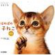 ほのぼの子ねこminiカレンダー 2019 [カレンダー]