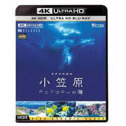 世界自然遺産 小笠原 ～ボニンブルーの海～ (ビコム 4K Relaxes) [UltraHD Blu-ray]